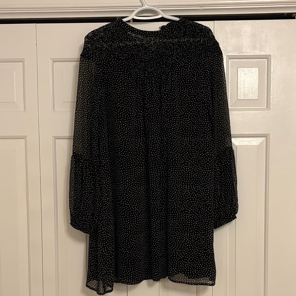 Zara Sheer Polka Dot Long Sleeve Dress